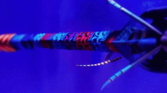 AI-based Interactive Installations Thumbnail